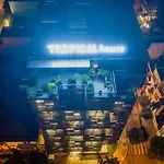 Tropical House Apartment Da Nang