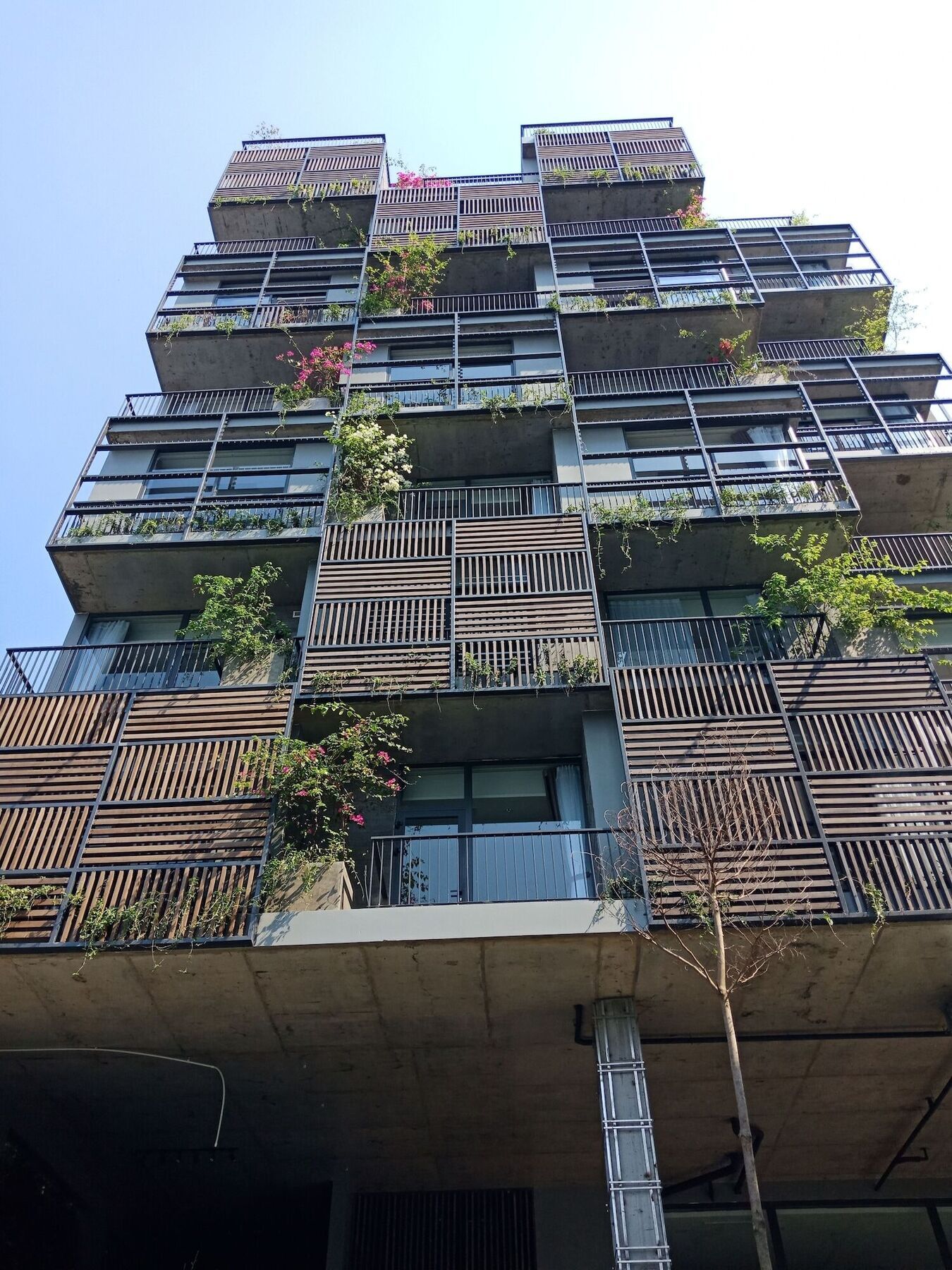 Apartment Tropical House